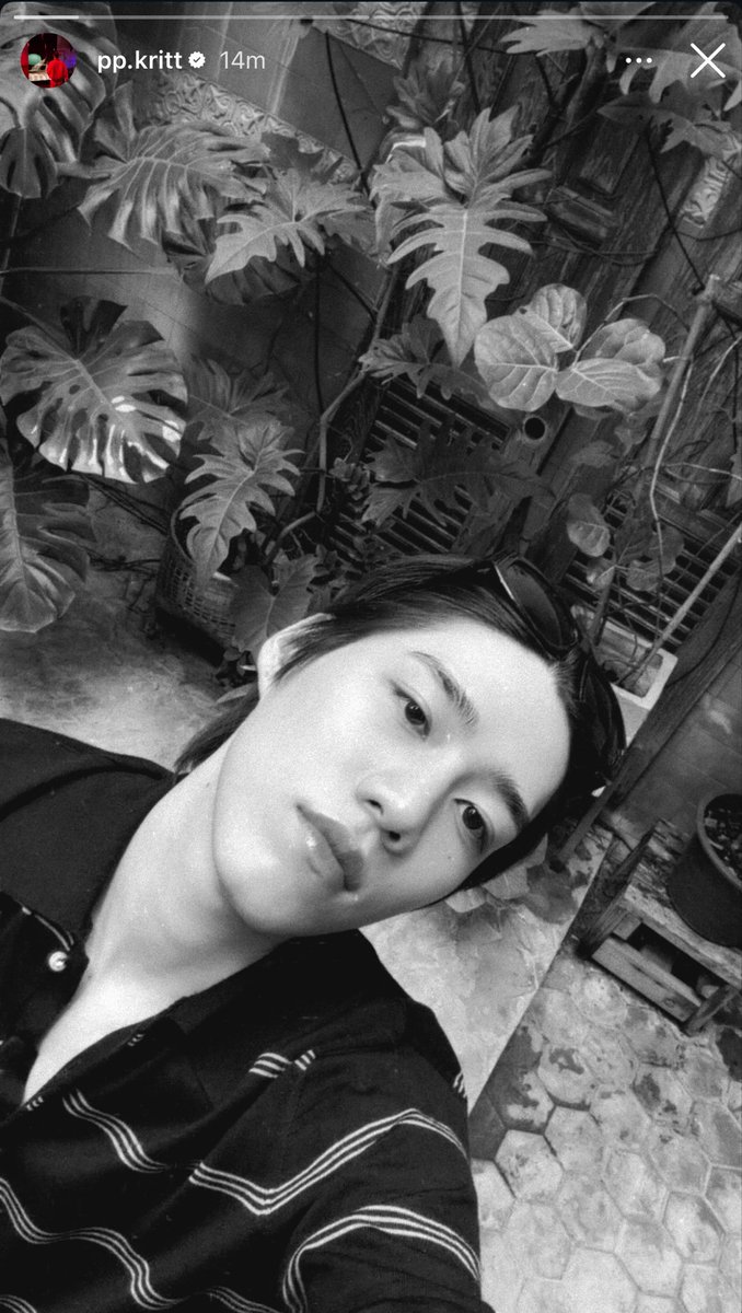 muffinp🧁 tweet media