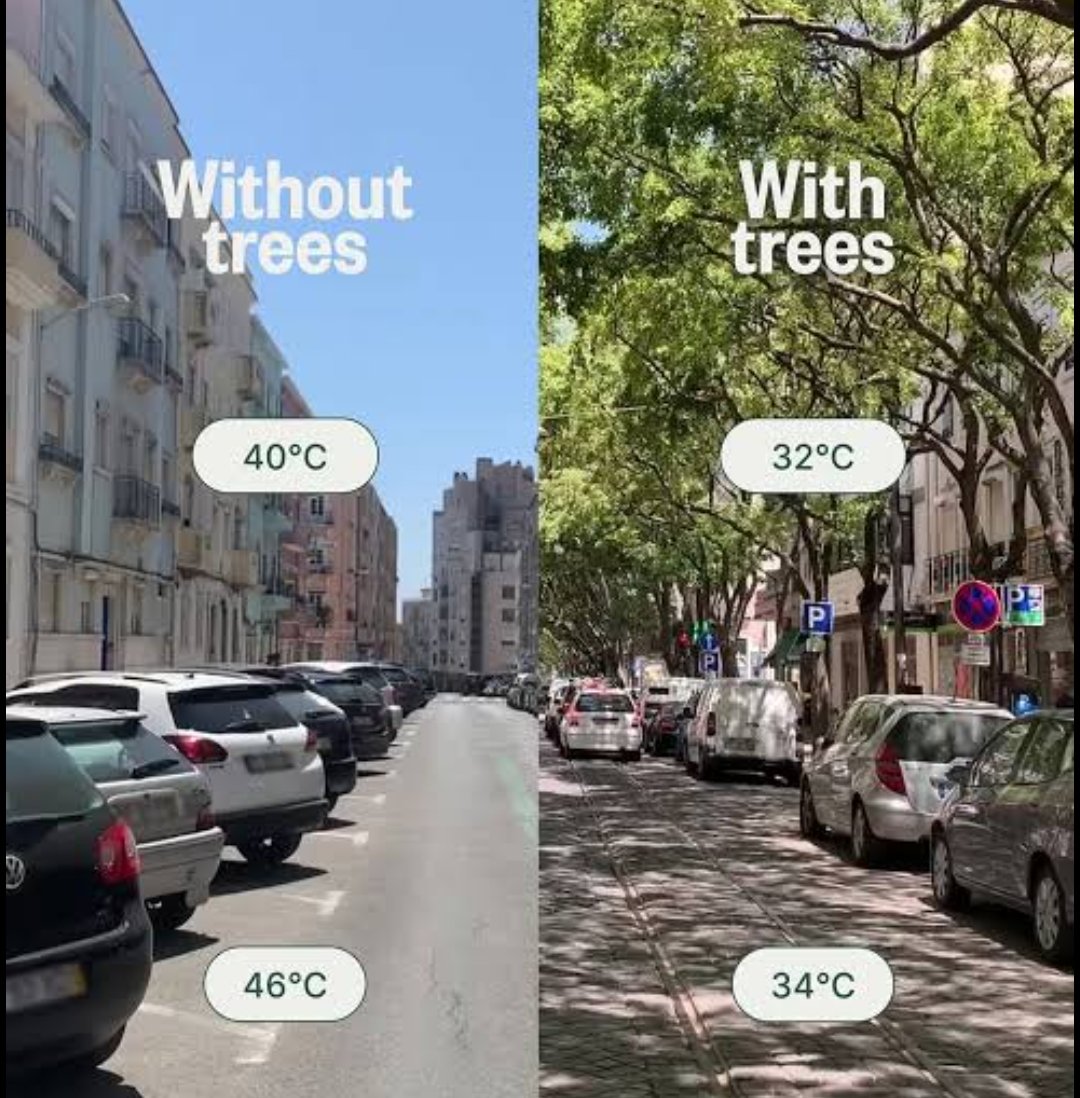 Walkable Chennai tweet media