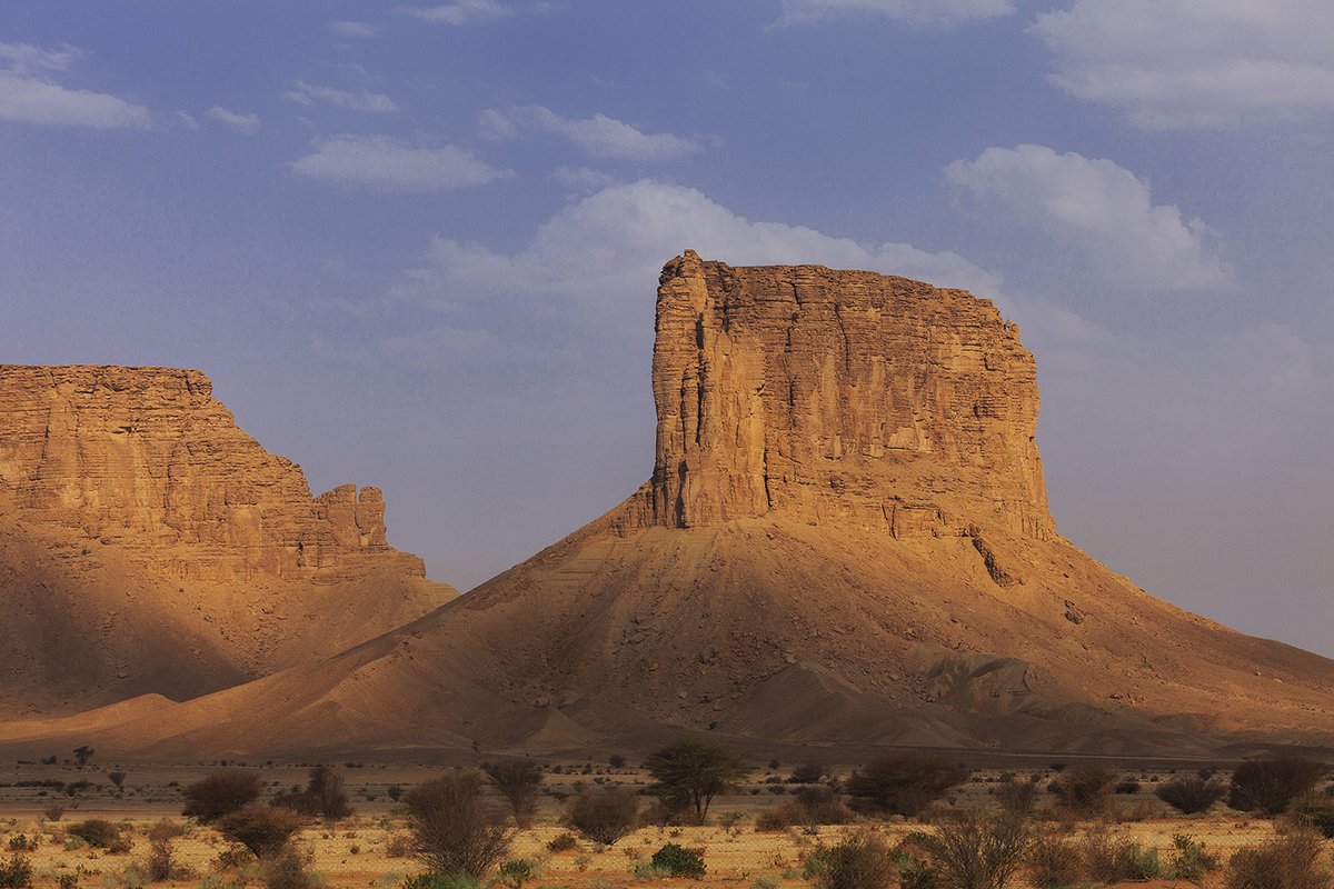 وليد المرحوم tweet media