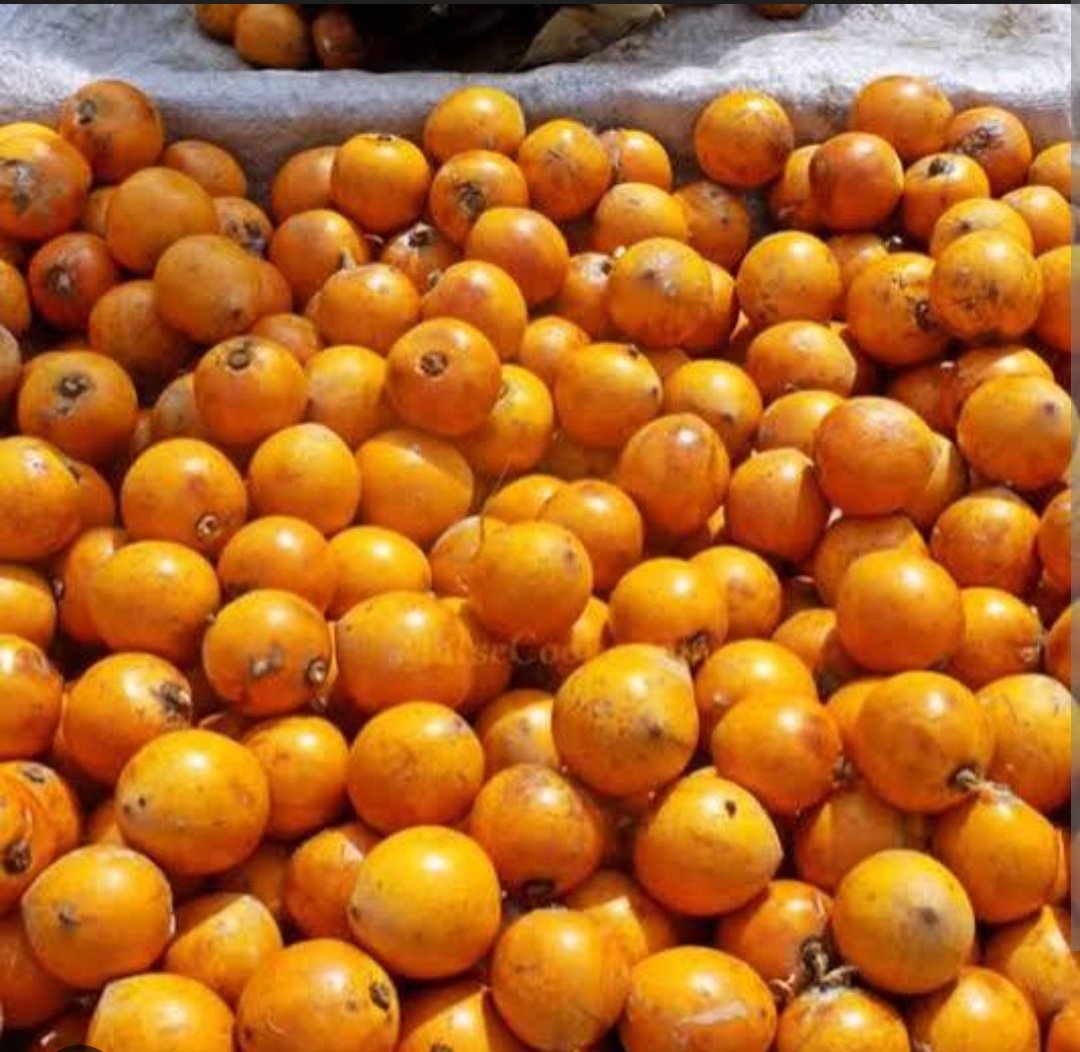 tanidem🧕🏿💙 tweet media