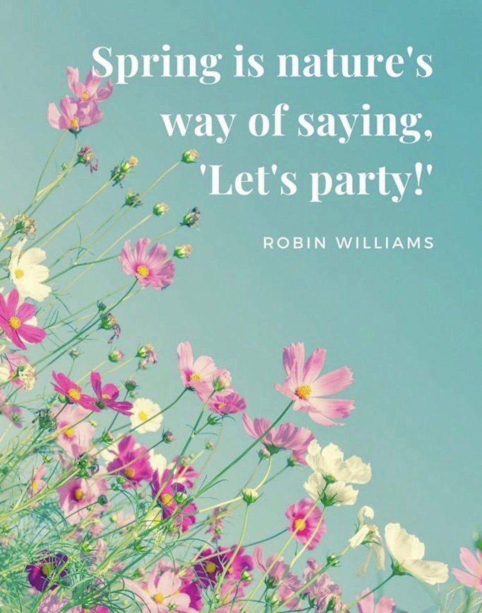 DomesticKenny's tweet image. 🌸Where 🐝 flowers 🌷bloom, 🦋 so 🐞does hope! 

#bringonthesunshine #bringonspring #flowers #colourfulstyle #naturelovers #hope #bepositive #sunshineandsmiles

💌 leighkenny.com