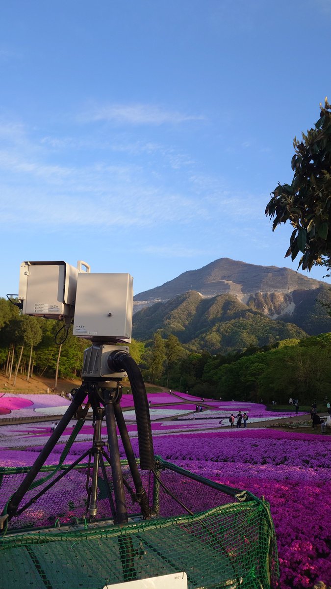 しょこら（schokola38） tweet media