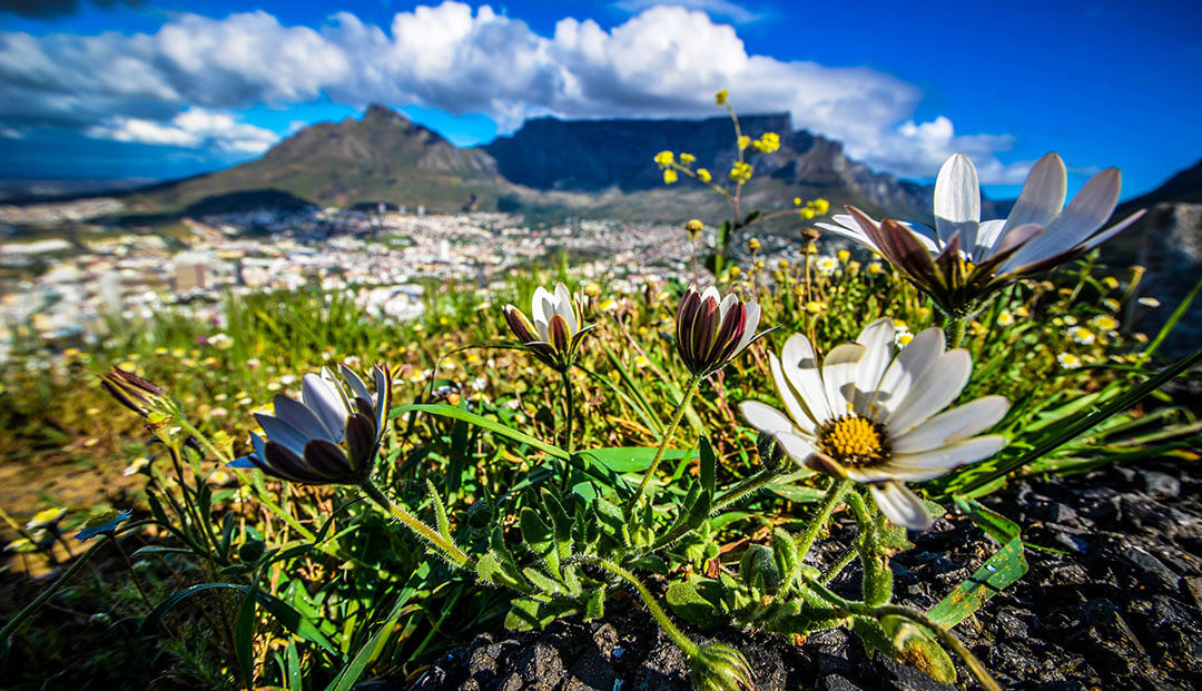 GovernmentZA's tweet image. 🌳 South Africa’s natural beauty is all around us—take a moment to appreciate it.

#ProudlySA #Nature #Explore