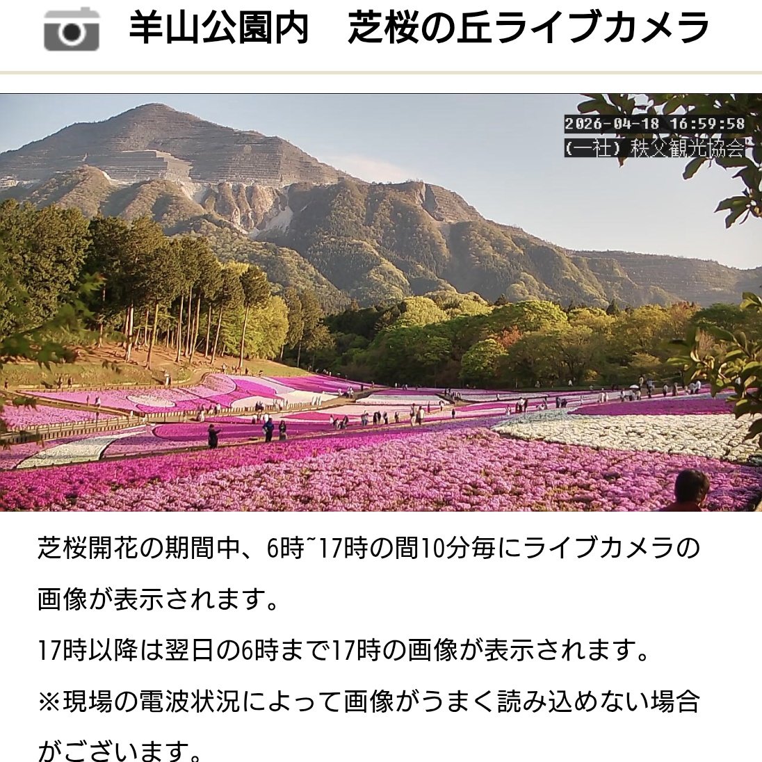 しょこら（schokola38） tweet media