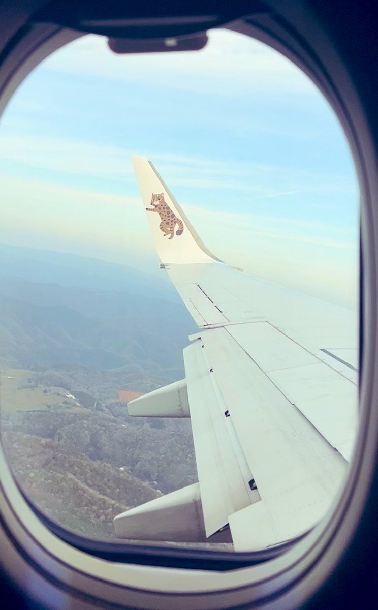 ひとみんと🌱 tweet media