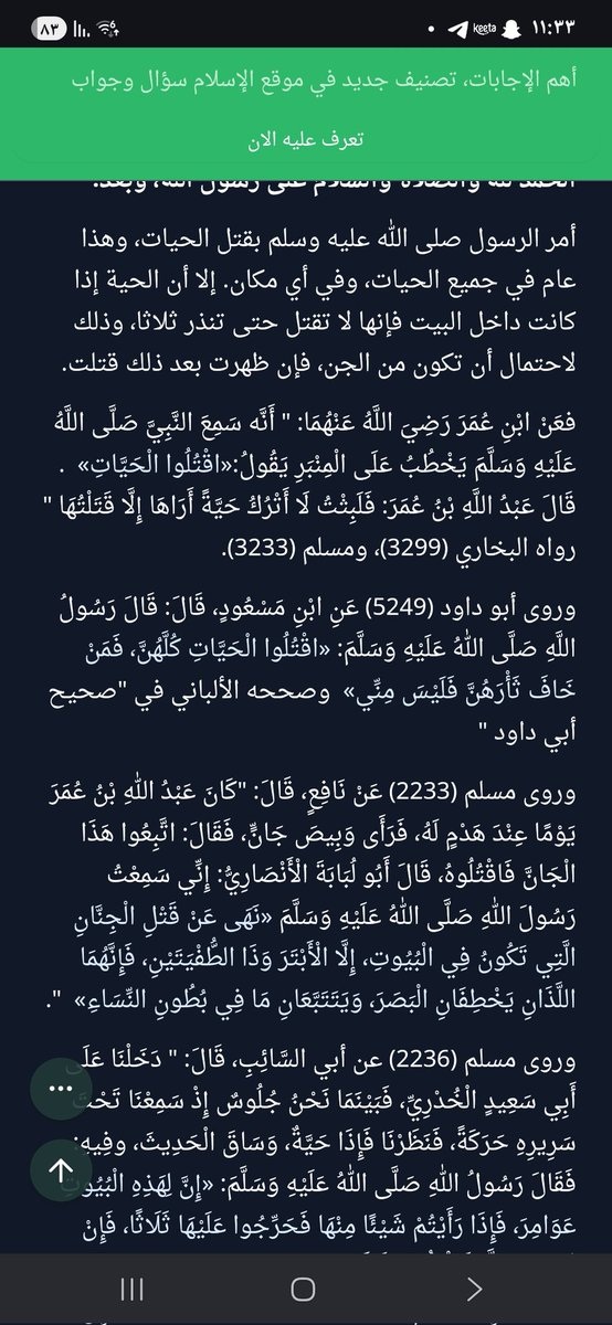 أسامة tweet media