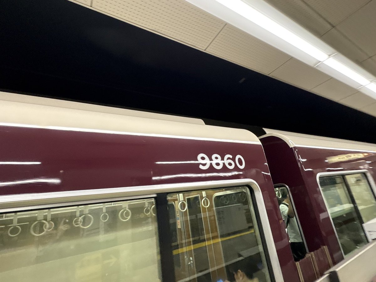 青ガマ tweet media