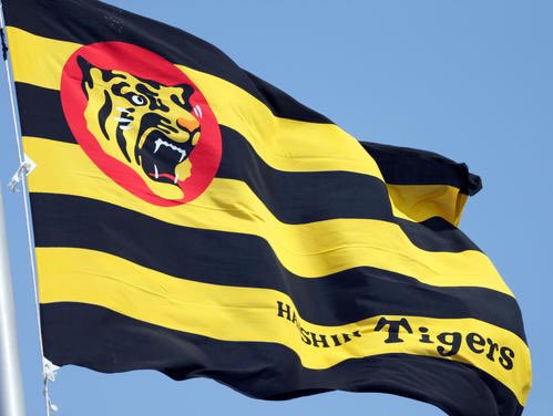 ✨輝森🌱(てるもり) tweet media