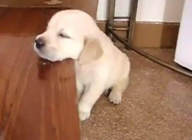 asert jfonk tweet media