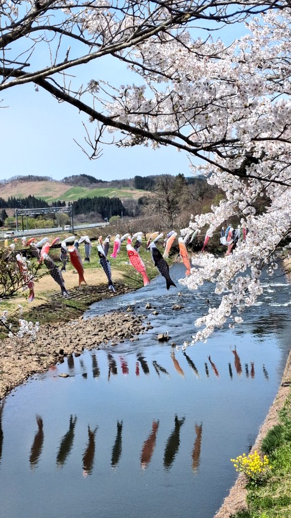 ここさん tweet media