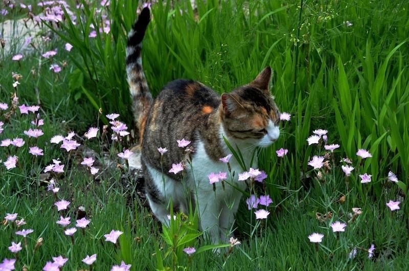 °❀.ೃ࿔* (@wurooods) on Twitter photo 