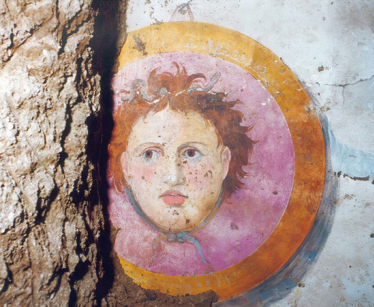 Economist 🌵 tweet media