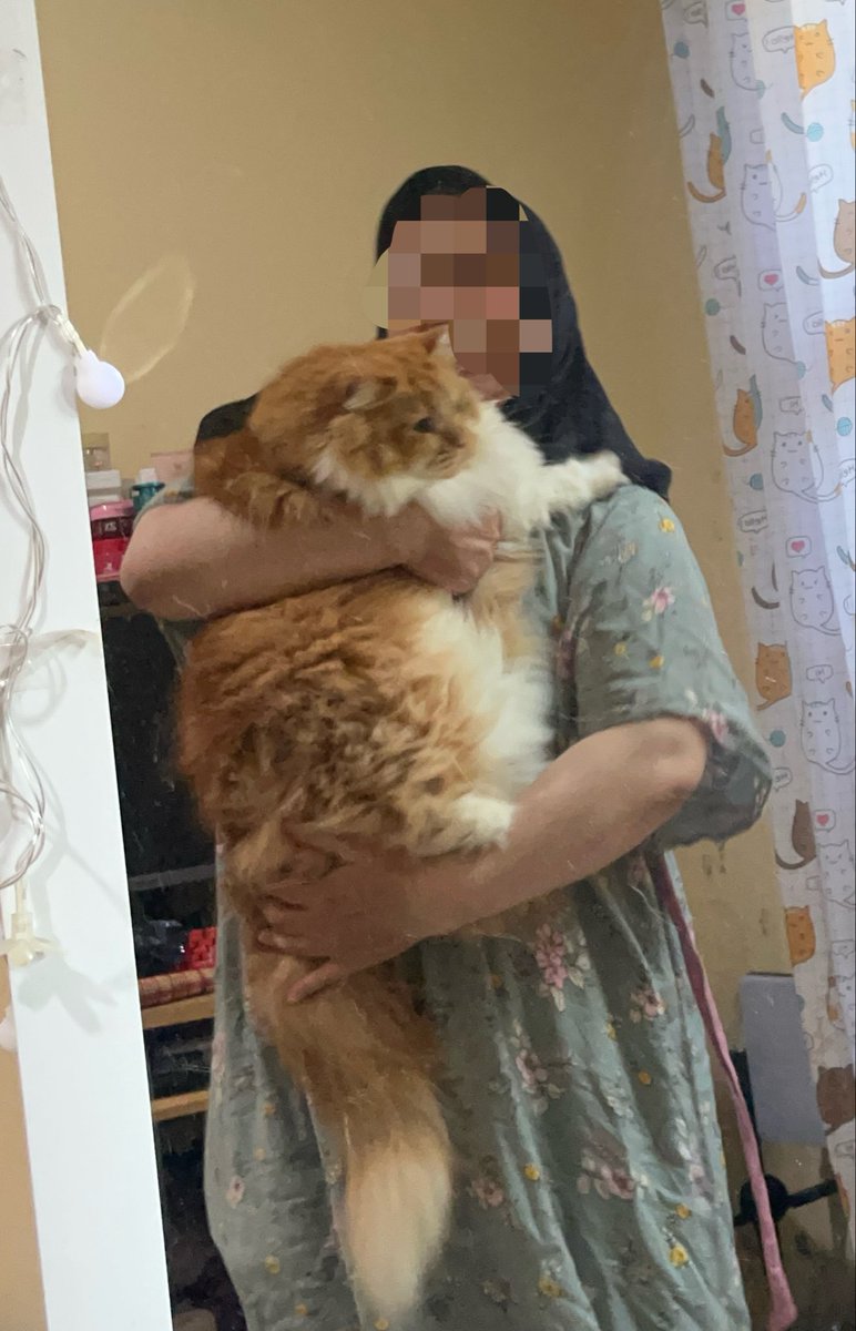 Yujin Momo Thyme Mint tweet media