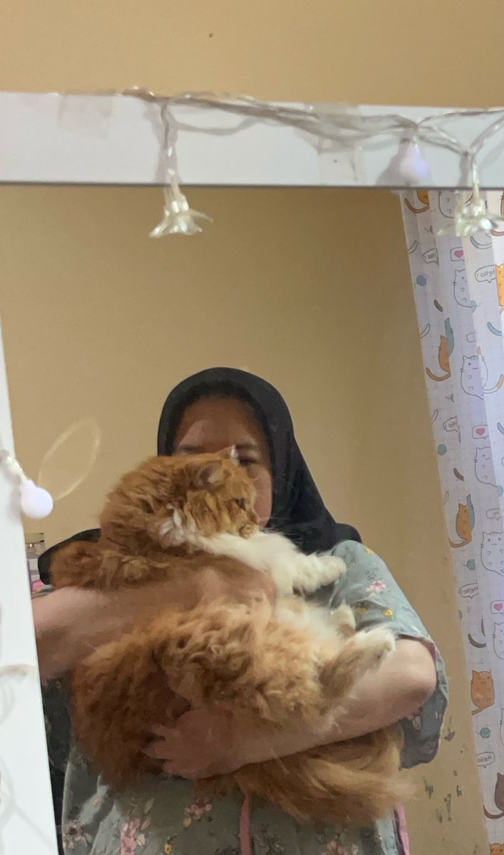 Yujin Momo Thyme Mint tweet media