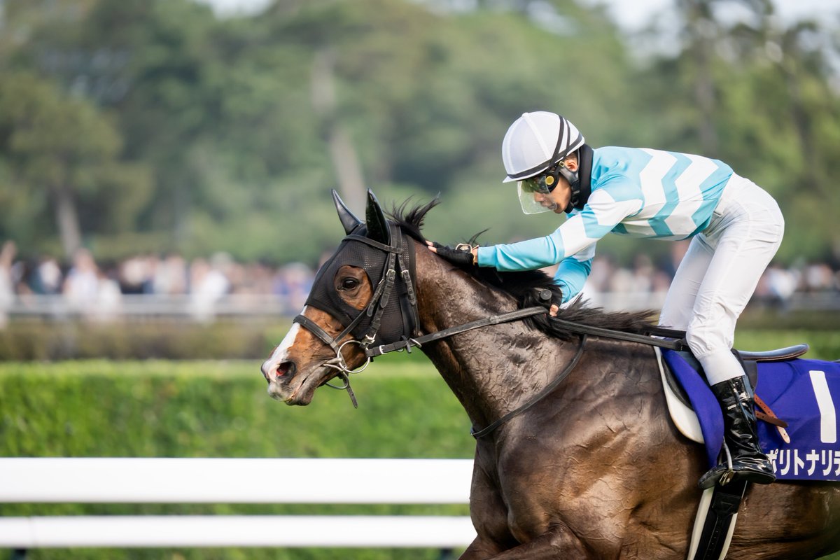 りょす🏇📷 tweet media