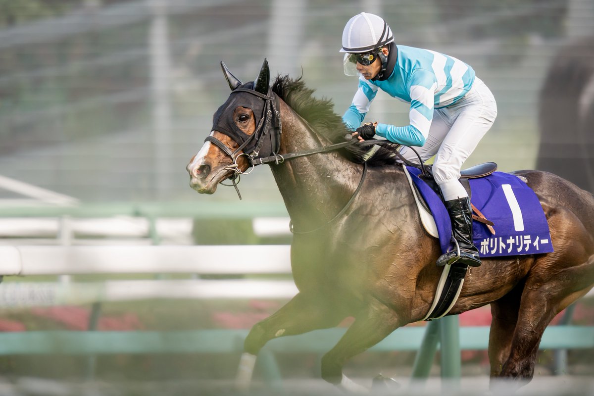 りょす🏇📷 tweet media