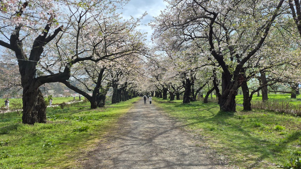 Daniel Loo tweet media