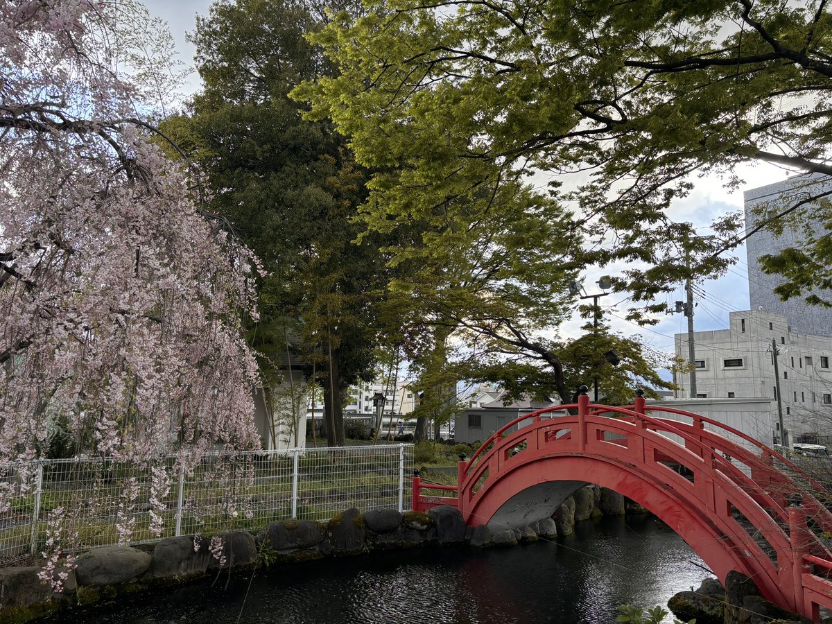 しょーて tweet media