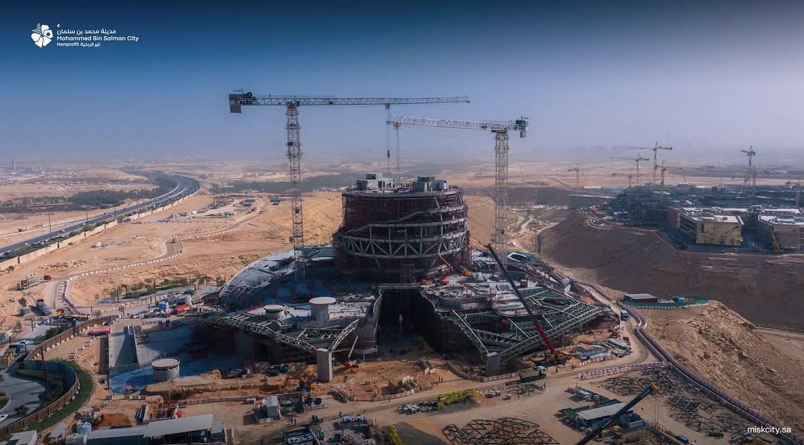 Mr.Wolf 🐺🎋 tweet media