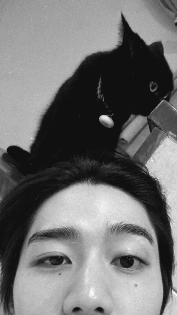 โปรเจกต์เฉพาะกฤษฏ์ tweet media