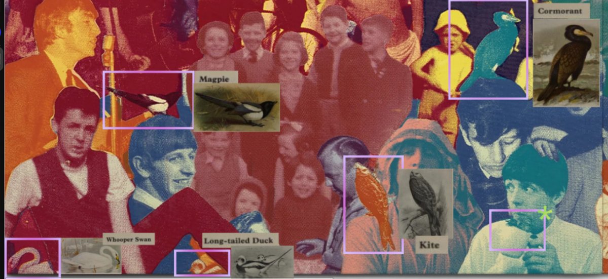 norinatu's tweet image. 『The Boys of Dungeon Lane』ゲートフォールド仕様のBirdについて 
#PaulMcCartney #DungeonLane #Birds 
ゲートフォールドに使われている鳥の（ほとんど？）すべてが 『The Observer's Book Of Birds』 から取られています
lightnews.blog137.fc2.com/blog-entry-111…