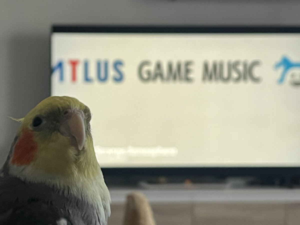 Don Yevon - GOLDEN SUN FAN ACCOUNT tweet media