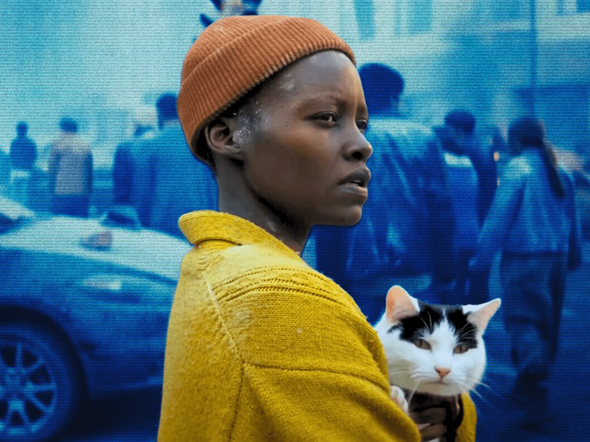 Sunny BKK Dude 🇹🇭 🏝️🎵 tweet media