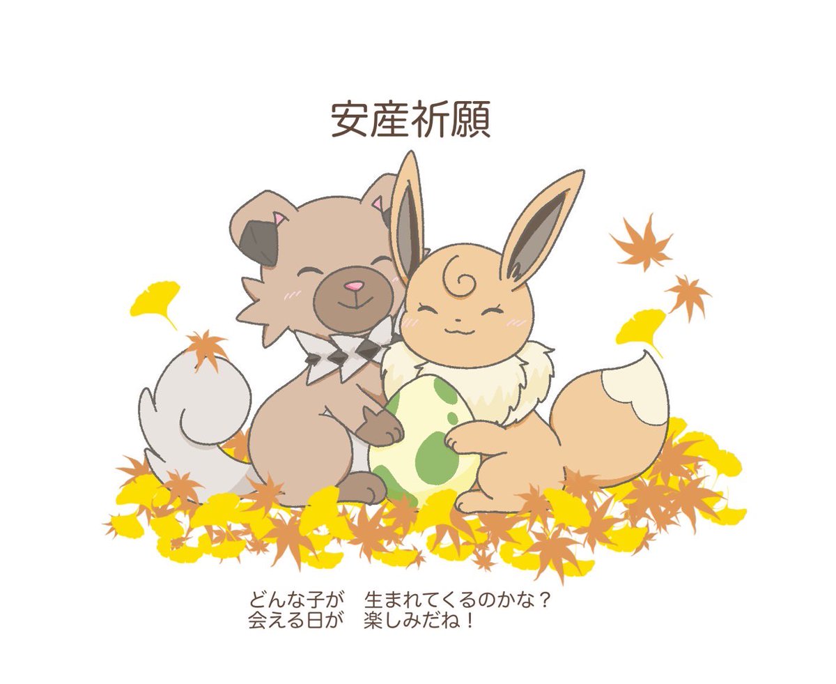 あんこもち🍡 tweet media