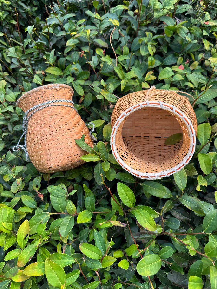 🦋🌷Anne Siti 🪐💫 tweet media