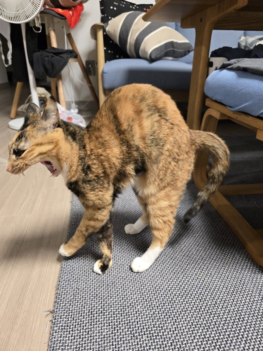 인간말종 tweet media