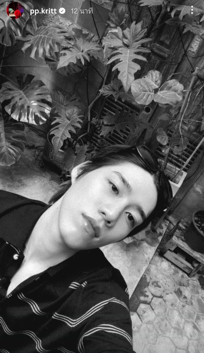 𝗣𝗣.𝗞𝗿𝗶𝘁𝘁_𝗳𝗰 tweet media