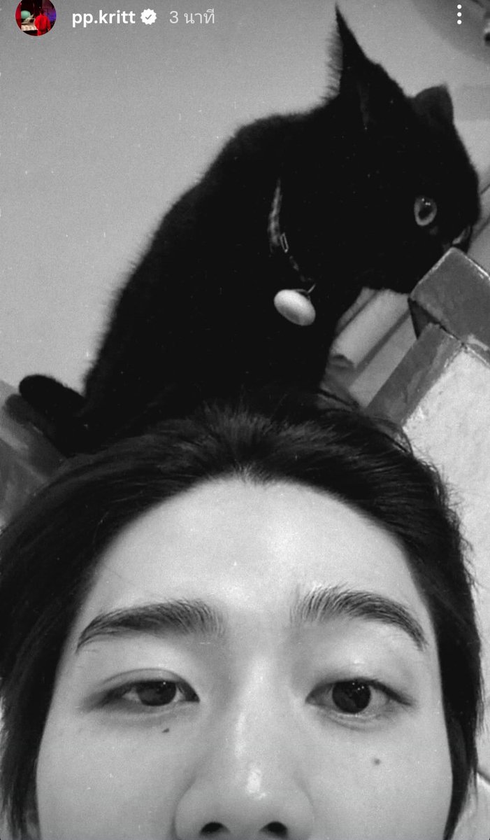 𝗣𝗣.𝗞𝗿𝗶𝘁𝘁_𝗳𝗰 tweet media