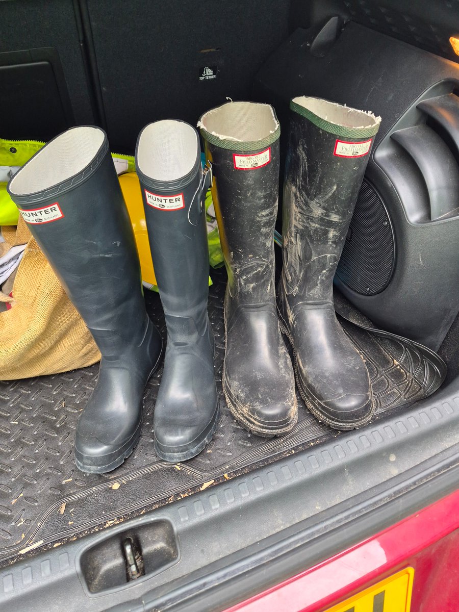 HardForWellies tweet media