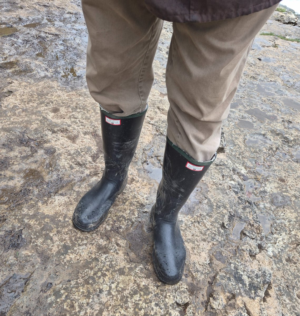 HardForWellies tweet media