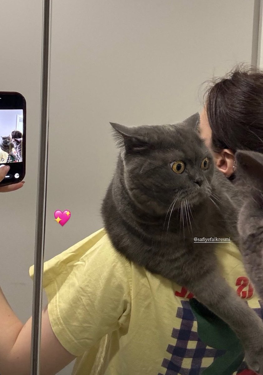 mcdl_323's tweet image. Günaydın 🩷 
#elsed