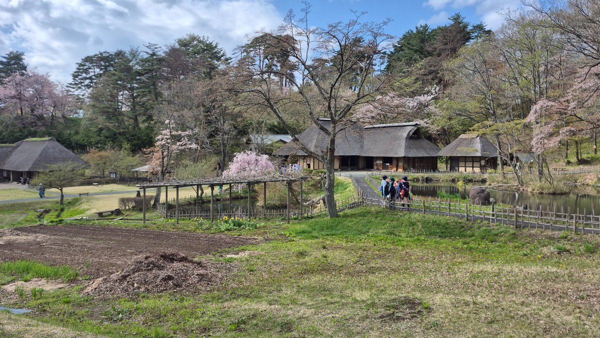 Daniel Loo tweet media