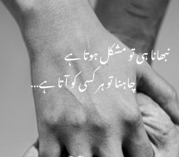 Mohib Writes tweet media