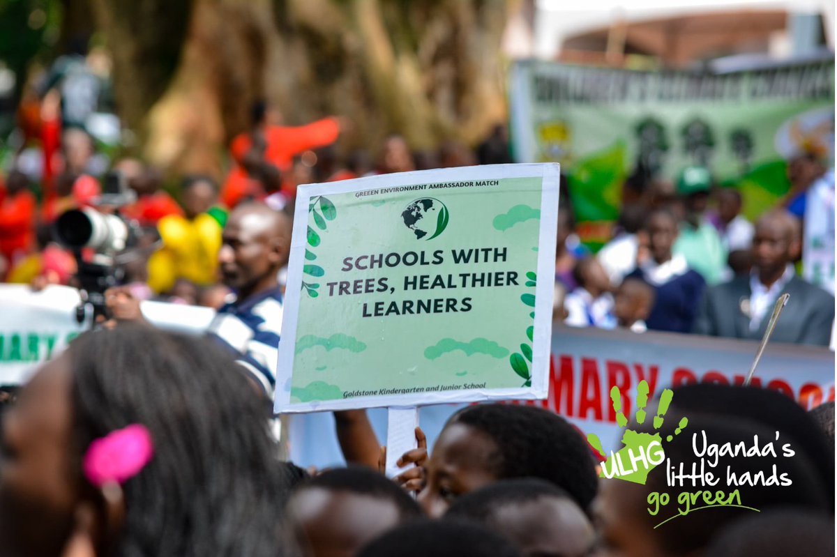 Little Hands Go Green tweet media