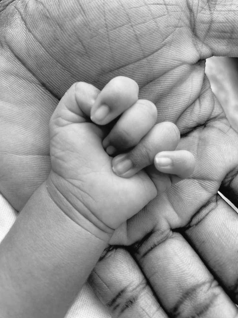 ഒരു വഴിയാത്രിക👣 tweet media