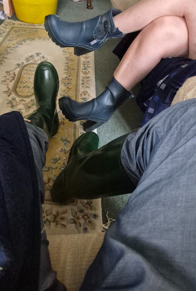 HardForWellies tweet media