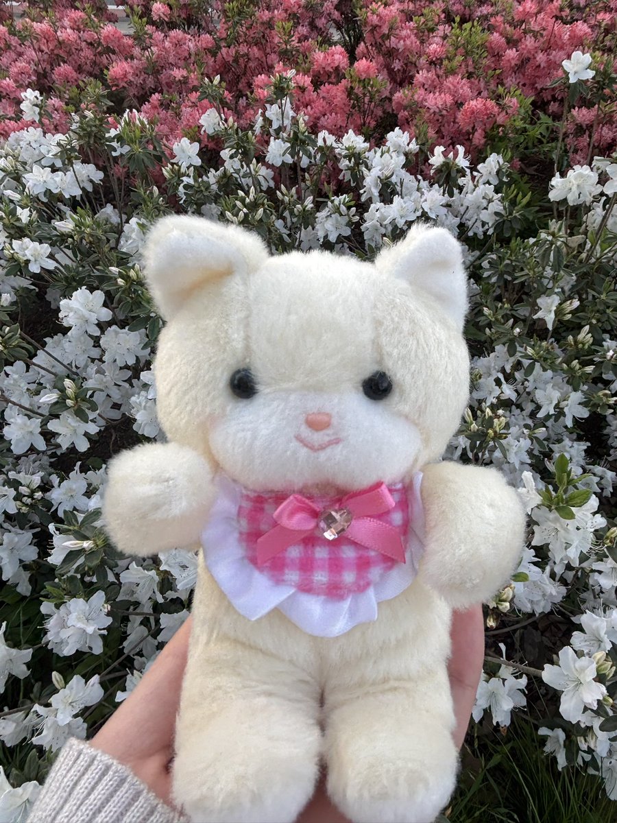 まろまろふぁみり〜 tweet media