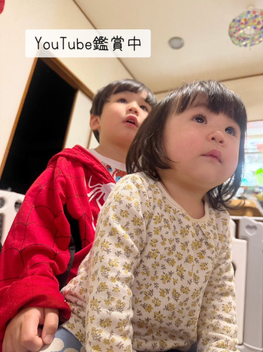 流し歌う漫画家 荒木ちえ tweet media