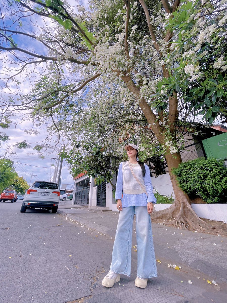 kunjunim's tweet photo. #bloomingtree #whiteflowers #floweringtree 🤍🌳 https://t.co/3CCo6LnJn5
