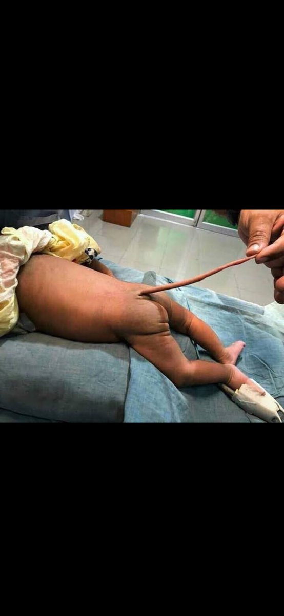 daniel.leo tweet media