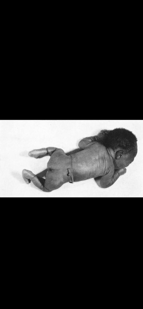 daniel.leo tweet media