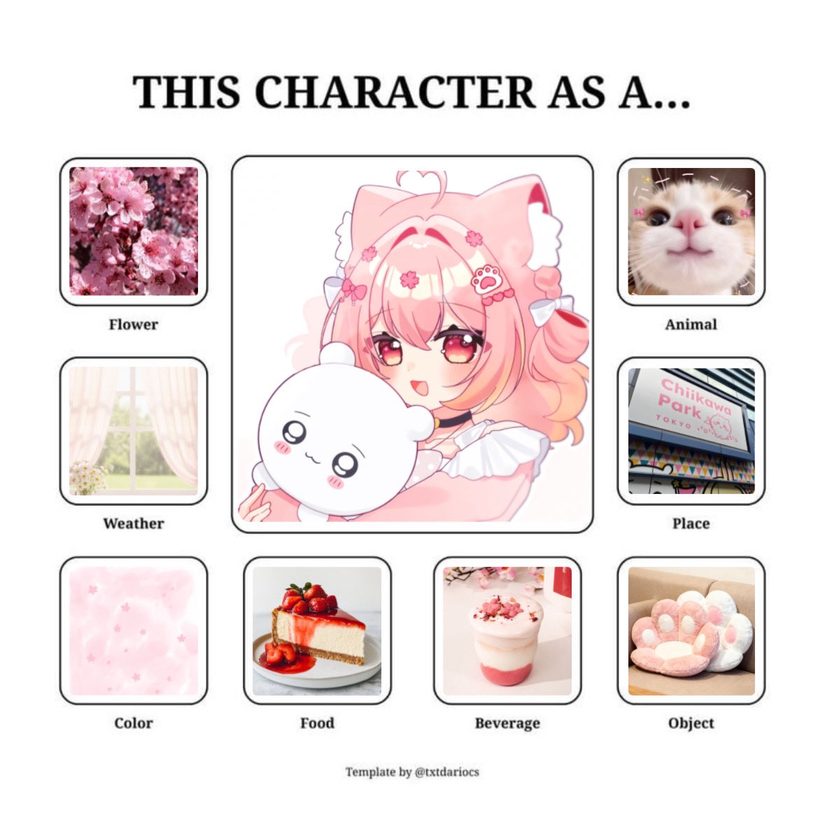 🐱🌸🍰🐾🩷
