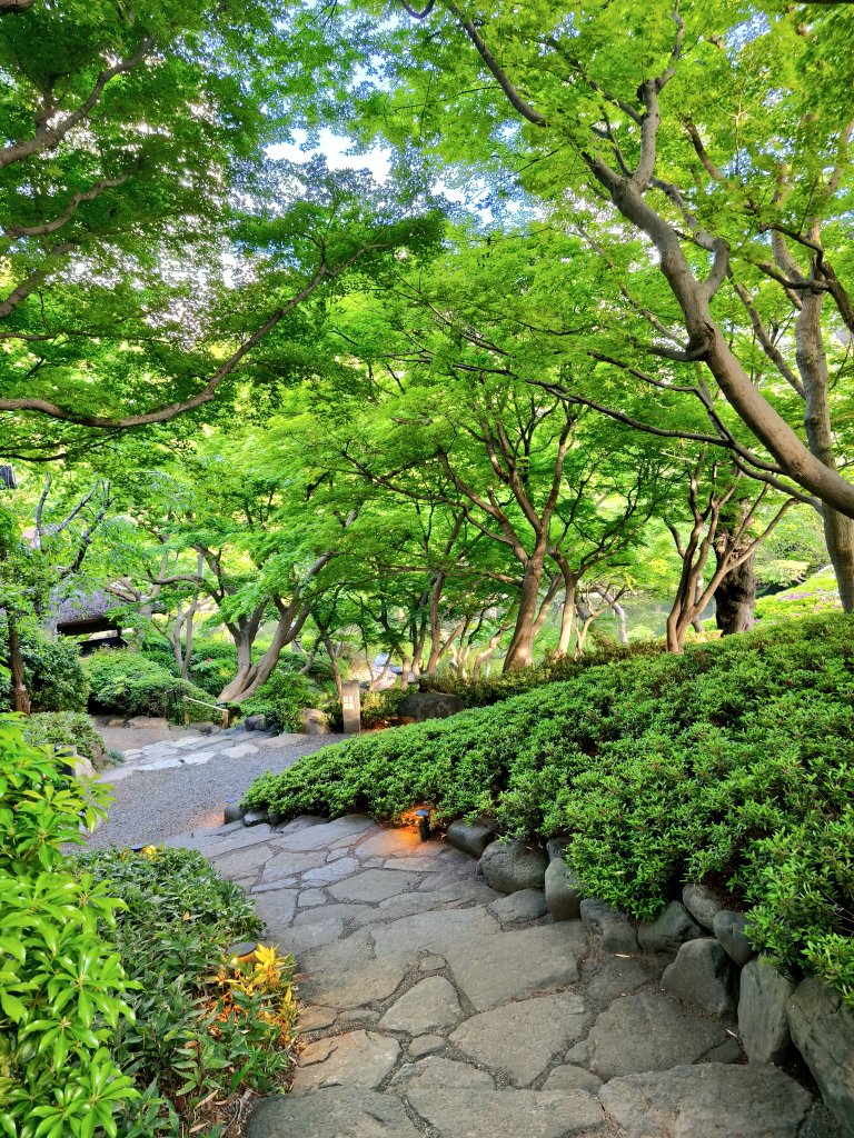 なな🐟️ tweet media