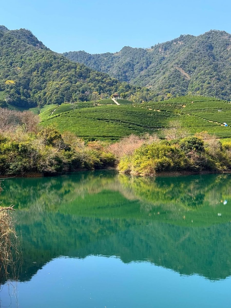 🦋🌷Anne Siti 🪐💫 tweet media