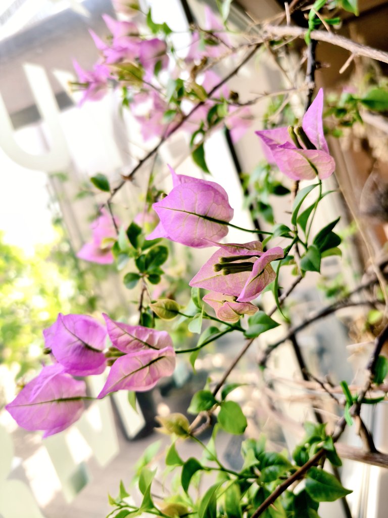 なな🐟️ tweet media