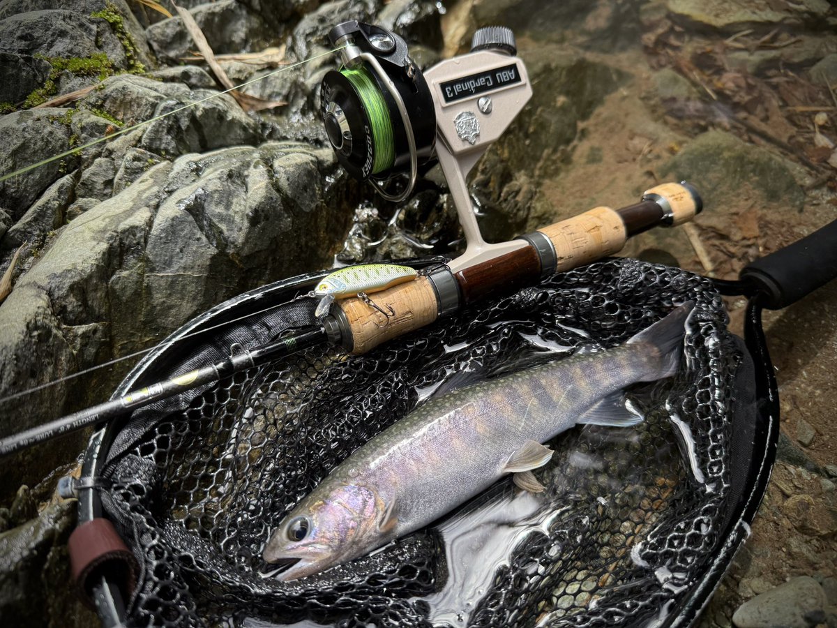 KeiryuPwl's tweet photo. 普段より遅めに入渓。
高活性の魚に楽しませてもらいました！
かっよくて綺麗なイワナに出会えて良かったです！

#smith
#tilf48tr
#gamicraft https://t.co/E4KaTVhmlR